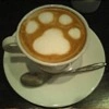 Puppuccino
